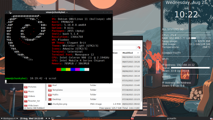 Screenshot of my Debian Bullseye Desktop