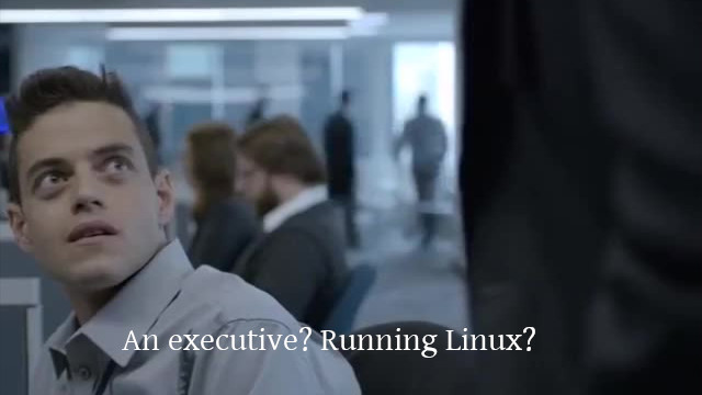 A scene from Mr Robot S01E01 where Elliott rhetorically asks himself "An executive? Running Linux?"